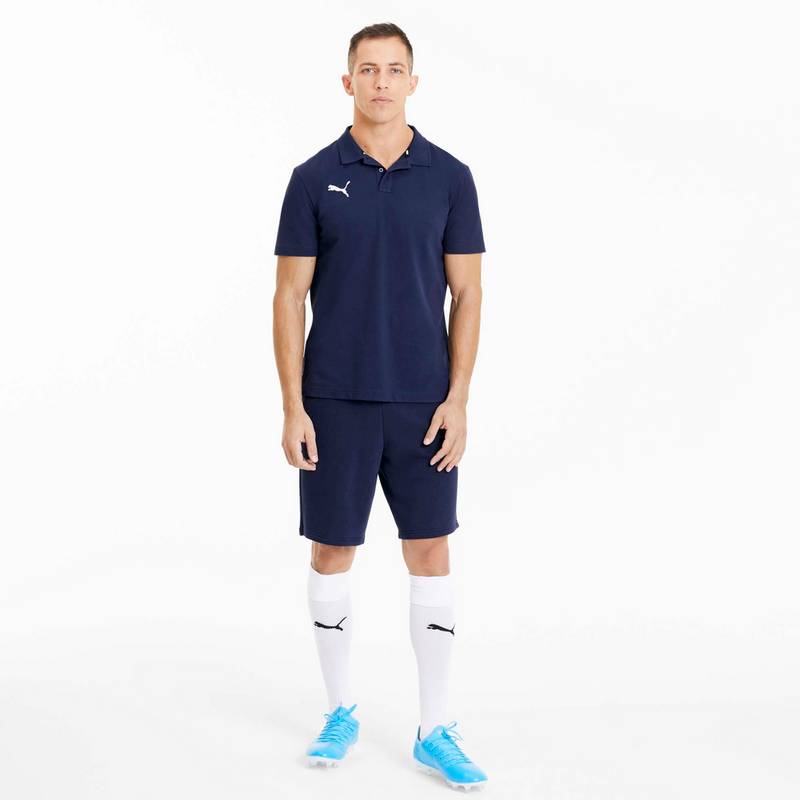PUMA teamGOAL Poloshirt Herren