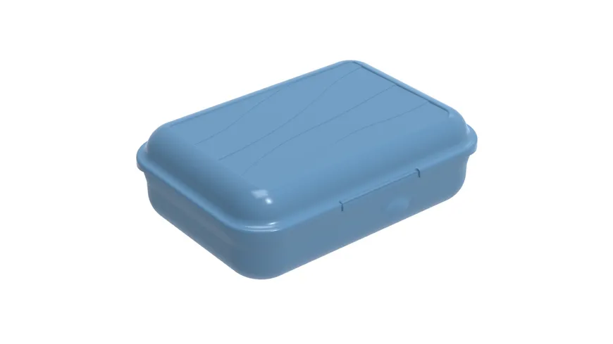 rotho Brotdose Funbox 0,9l Aqua