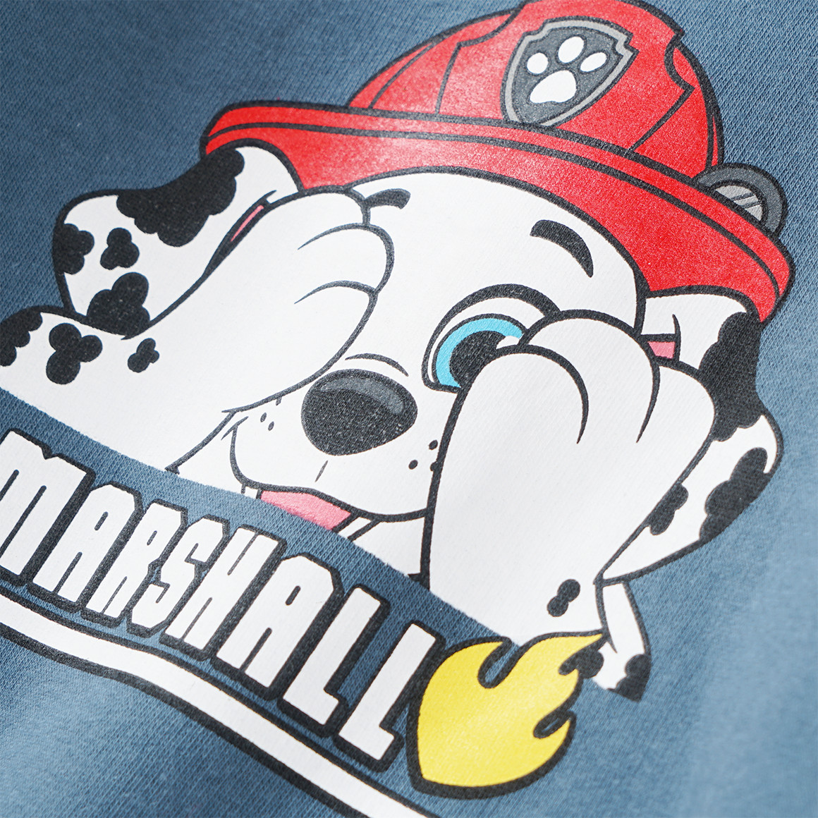 PAW Patrol Sweatshirt mit Schalkragen