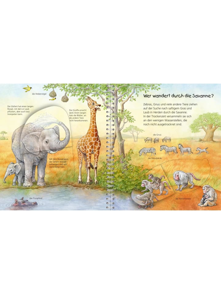 Ravensburger Wieso? Weshalb? Warum? Mein junior-Lexikon: Tiere günstig kaufen onesize