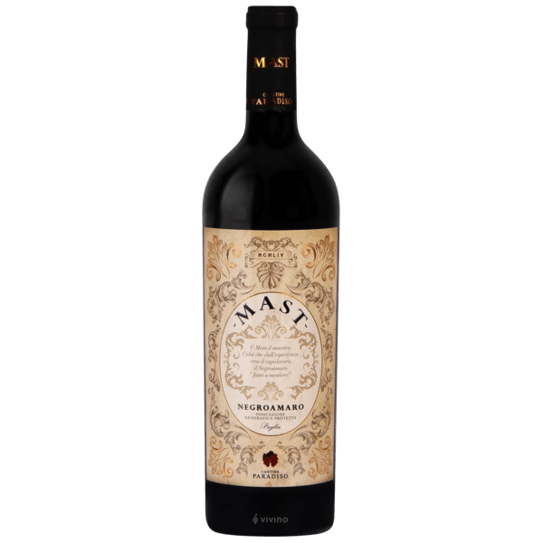 Cantine ParadisoMast Negroamaro 2020