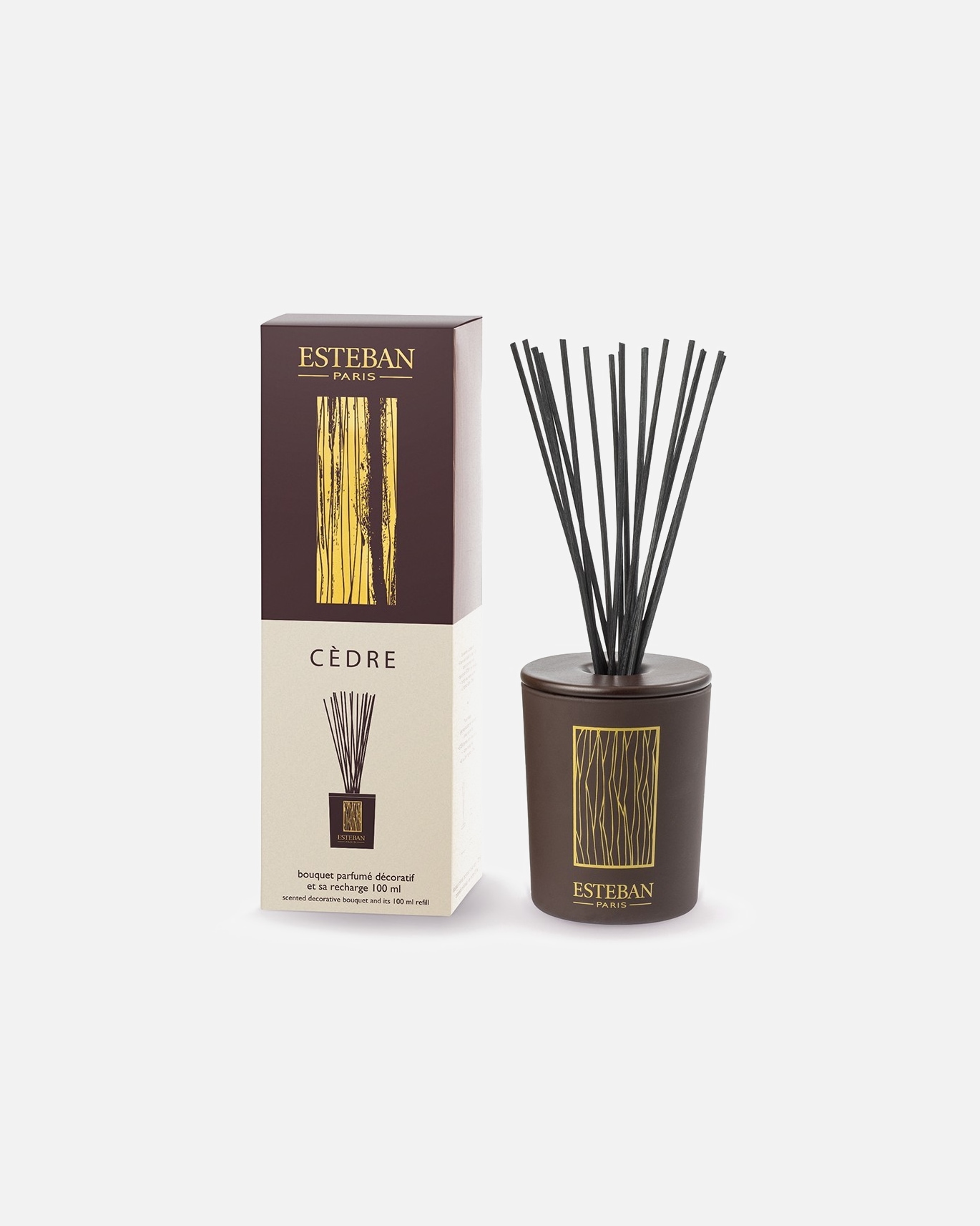 Esteban Cedar