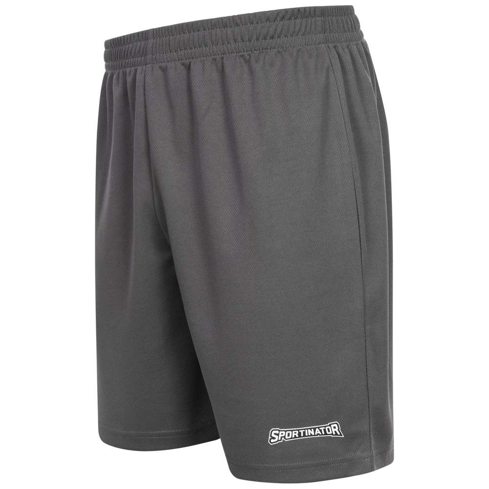 SPORTINATOR Essentials Herren Training Shorts grau
