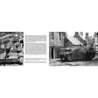 Panzerwaffe Tarnfarben: Camouflage Coulours and Organization of the german armoured Forde (1917-1945) (EN)