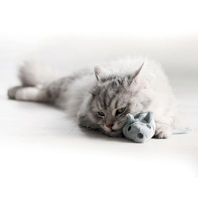 Aumüller Katzenspielzeug Baldi-Maus