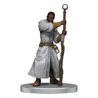 D&D Icons of the Realms: Dragonlance - Warrior Set (6) (Pre-Painted)