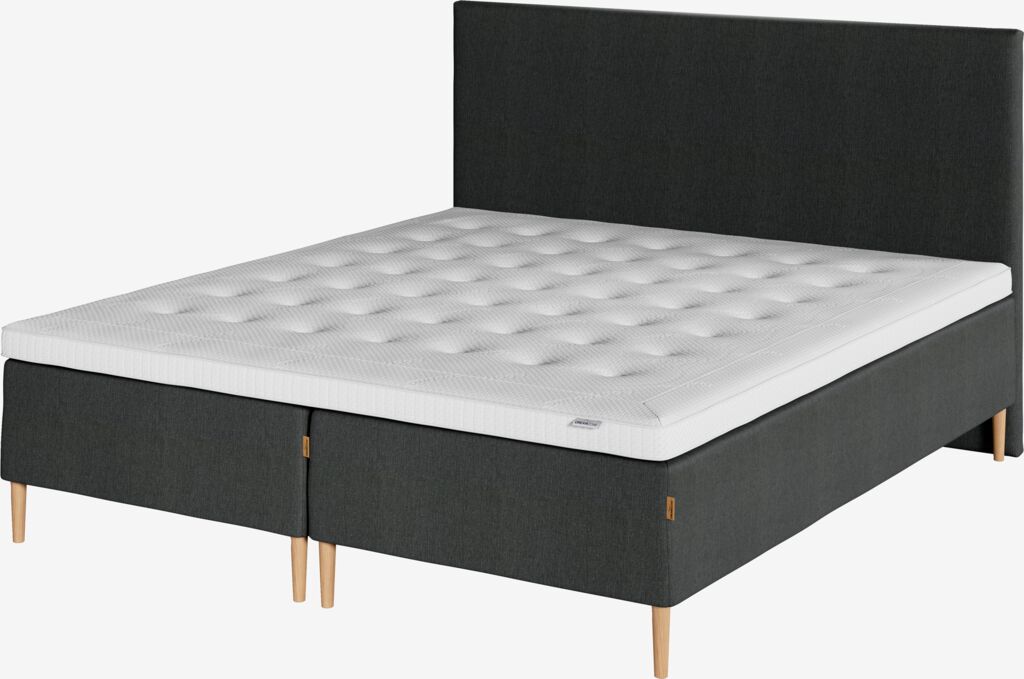 ETNA H10 Gold Kopfstütze 150x115 ETNA H10 Grau-40 DREAMZONE
