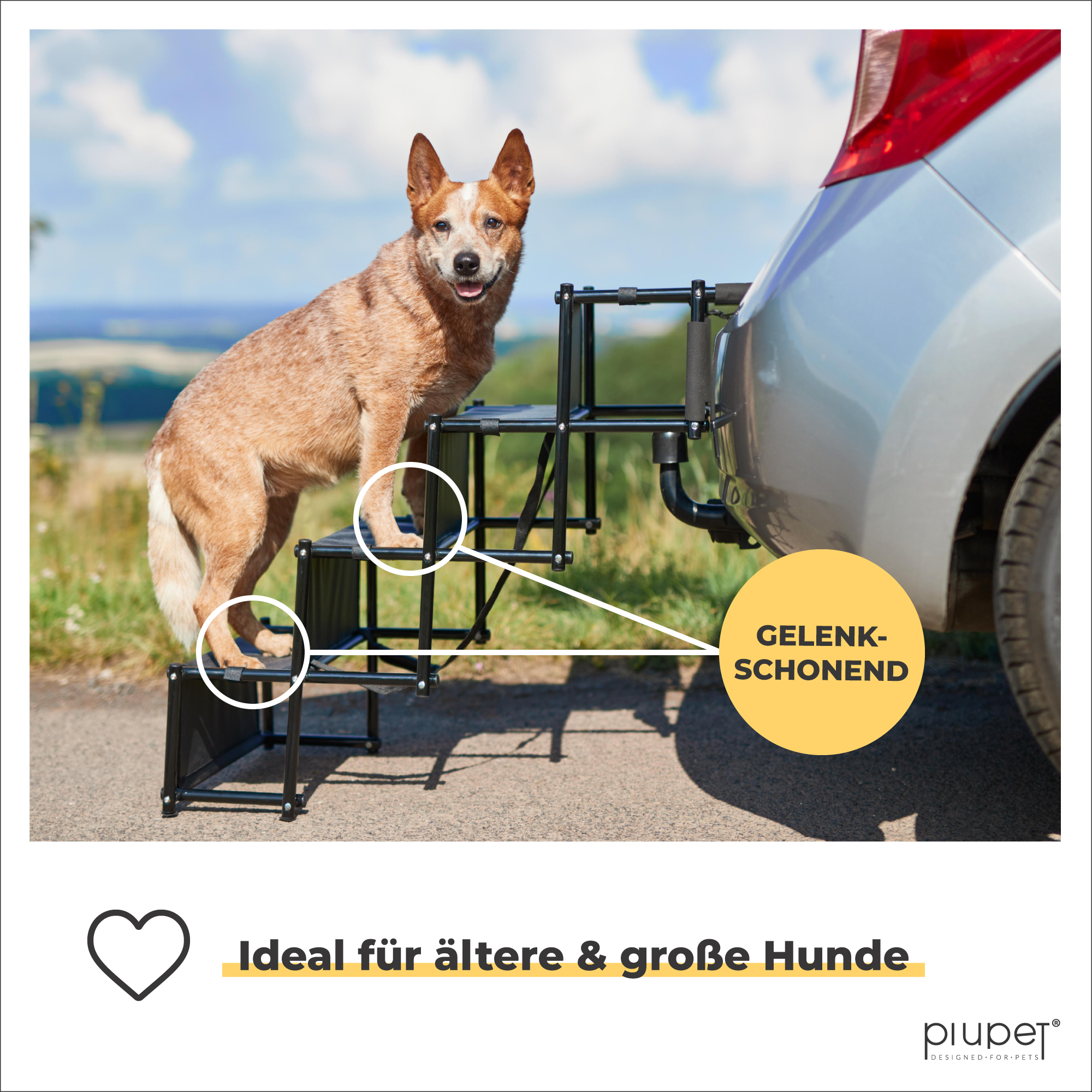 PIUPET Autozubehör PIUPET Hundetreppe