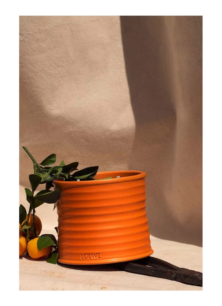 LOEWE maza apelsīnu ziedu svece - aromātiskā svece 170 grami