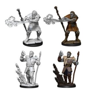 D&D Nolzur's Marvelous Miniatures - Male Firbolg Druid