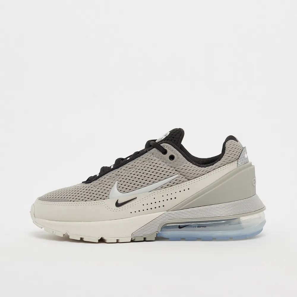 Nike Air Max Pulse FD6409-002 / grau