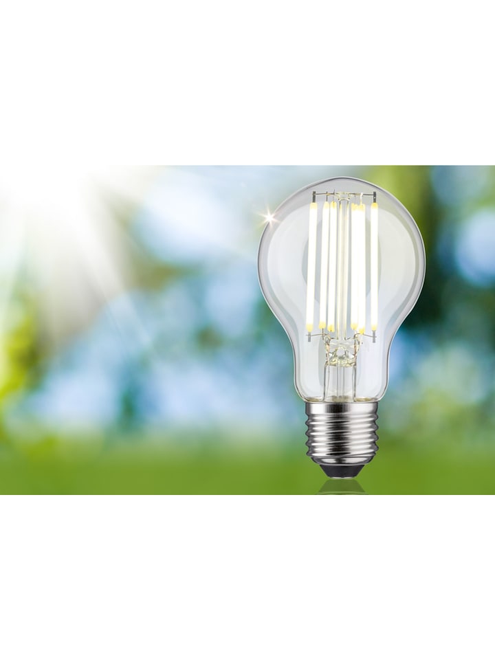 paulmann Eco-Line Filament 230V LED Birne 1er-Set A günstig kaufen onesize