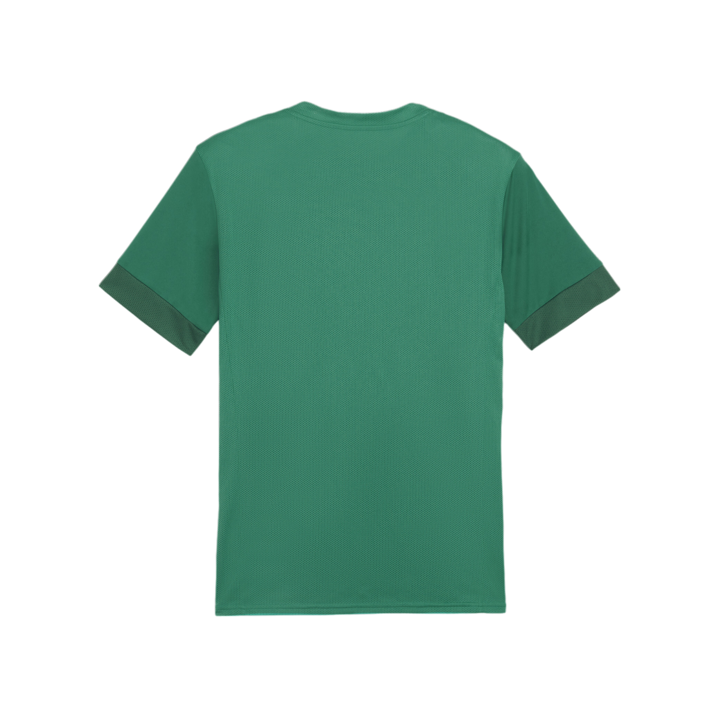 PUMA teamGOAL Matchday Trikot Grün Weiss F05