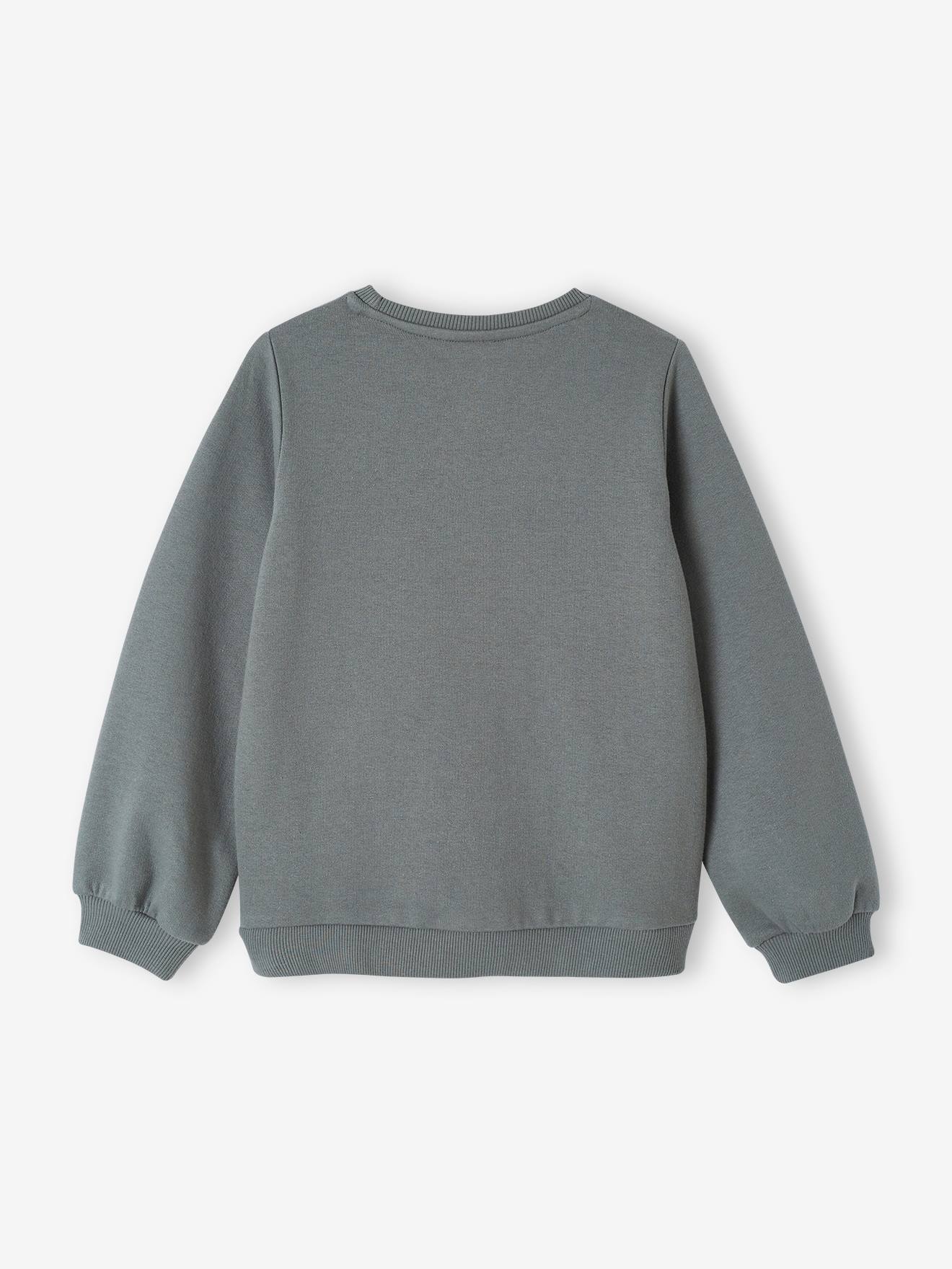 Paw Patrol Kinder Sweatshirt PAW PATROL - graugrün