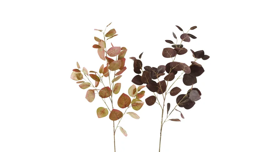 Boltze Dekozweig Dichondra Dunkelgelb,Dunkelrot