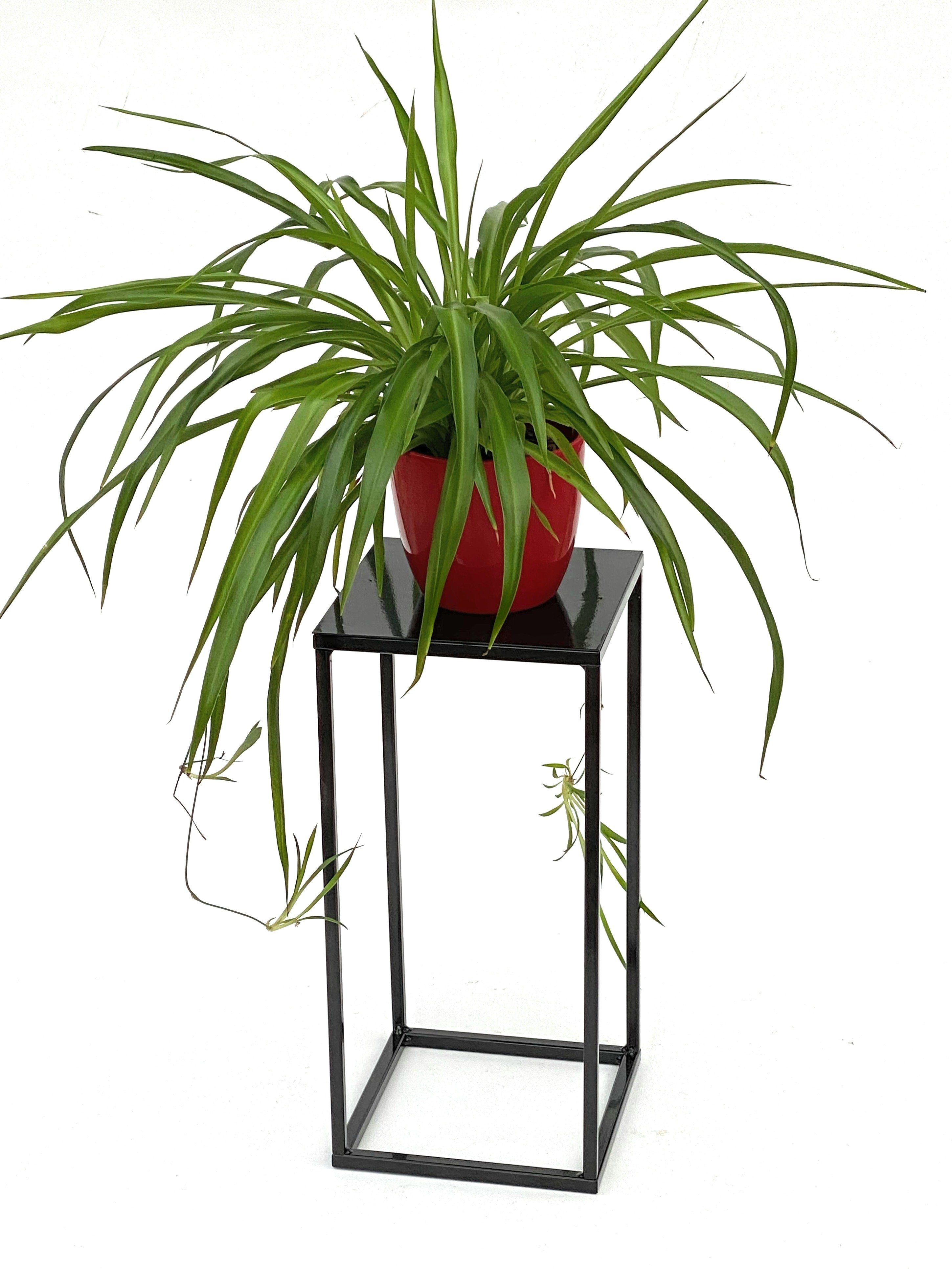 DanDiBo Blumenhocker DanDiBo Blumenhocker Metall Schwarz Eckig Blumenständer Beistelltisch 434 Blumensäule Modern Pflanzenständer Pflanzenhocker