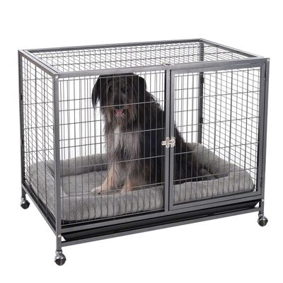 Zimmerkennel Tabby L