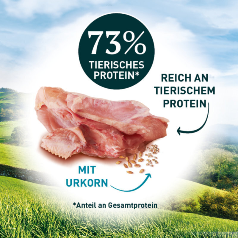 Purina ONE Trockenfutter Purina ONE Wild Sense reich an Huhn 1,4 kg