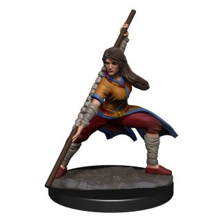 D&D Nolzur's Marvelous Miniatures - Human Monk Female