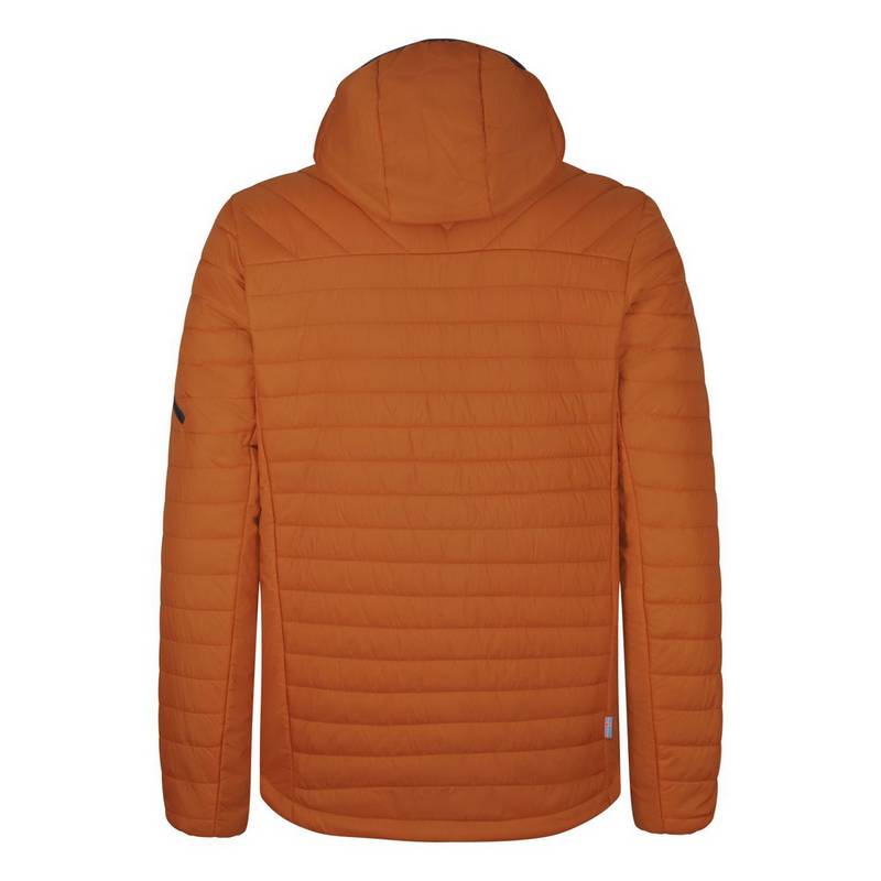 Westfjord Hekla Outdoorjacke Herren