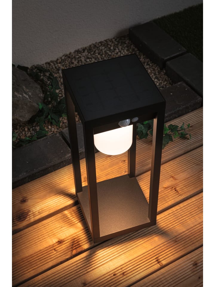 paulmann Solar LED Lichtobjekt Marisol günstig kaufen onesize