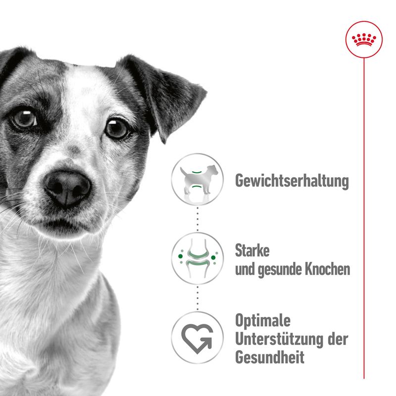 Royal Canin Mini Adult  in Soße