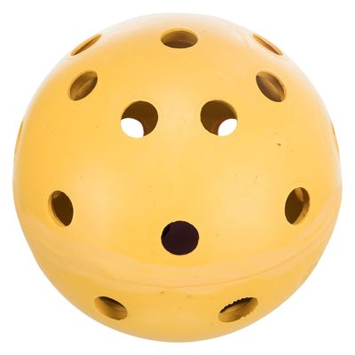 Trixie Ball für sehbehinderte Hunde