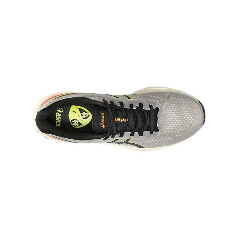 ASICS GT-1000 12 TR Laufschuhe Herren