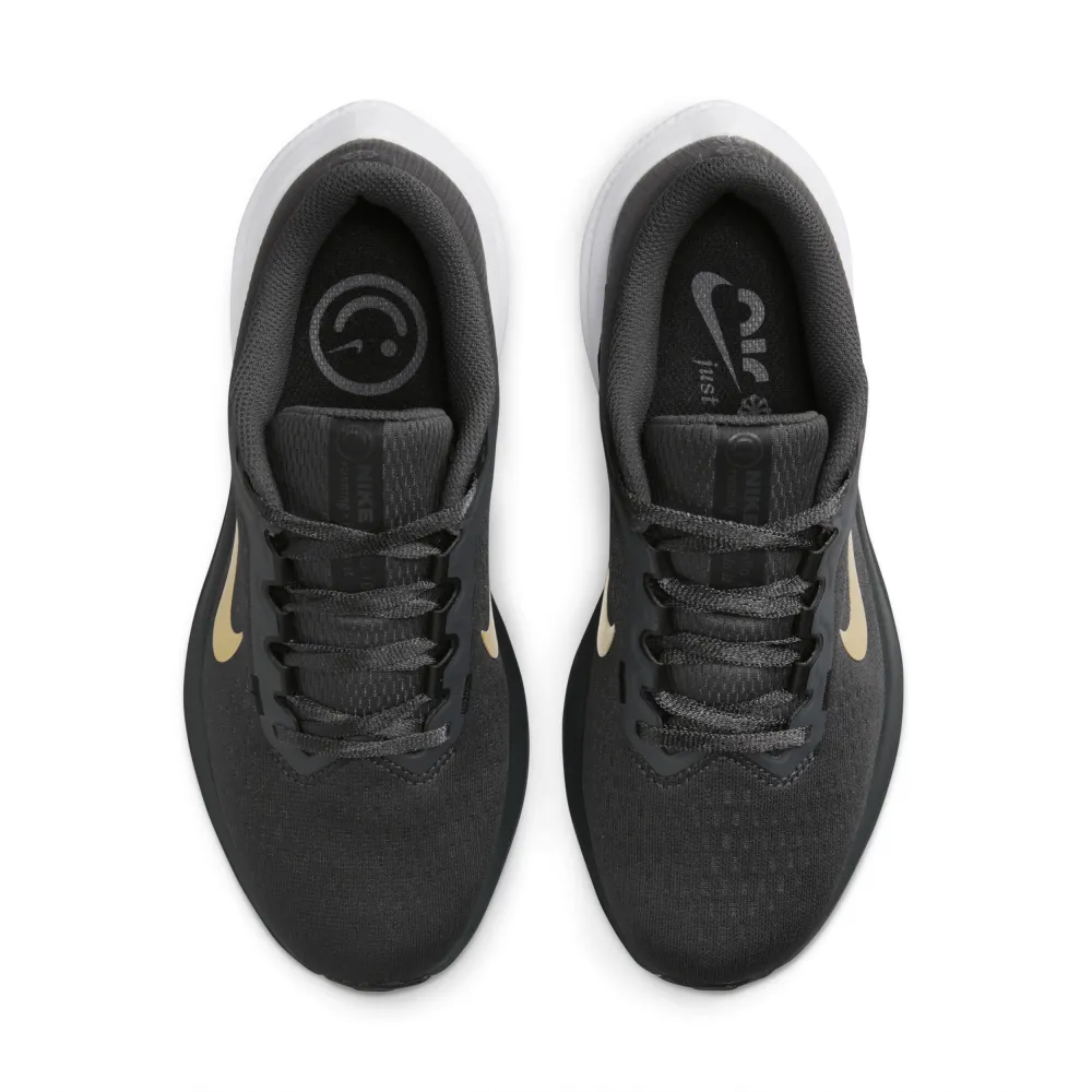 Nike Winflo 10 DV4023-005 / grau