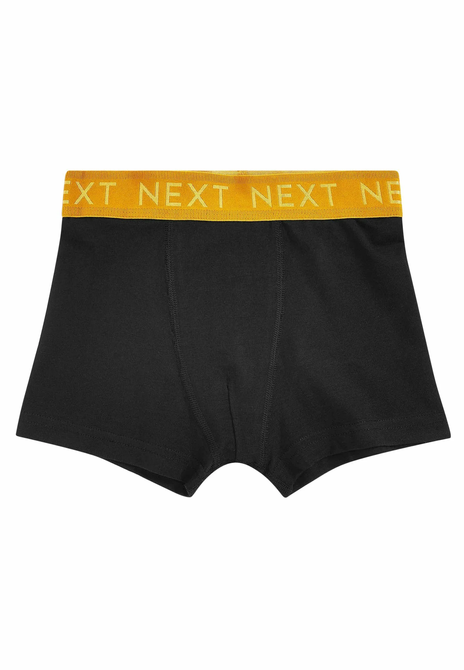 Pack de 5 calzoncillos con cintura opulenta - Culotte