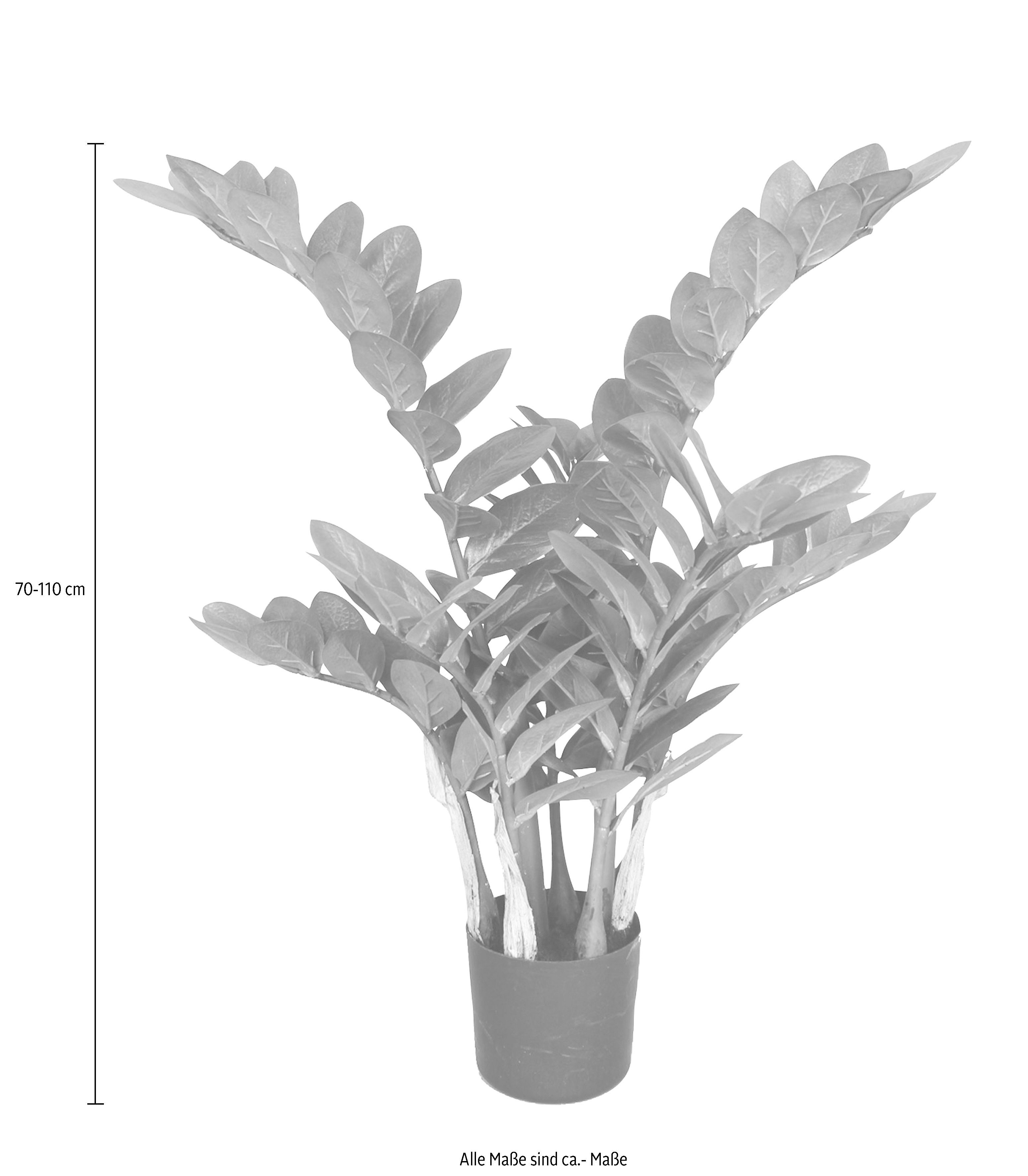 Kunstpflanze Zamifolia, Creativ green, Höhe 70 cm