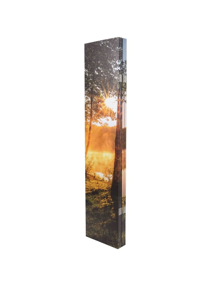 MCW Foto-Paravent mit Schallschutz L55, 180x162cm Waldsee günstig kaufen onesize