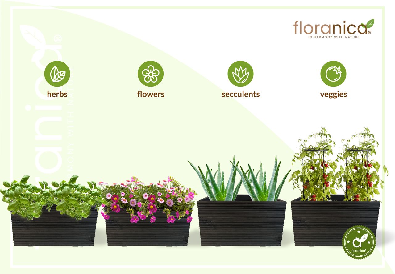 Pemicont Floranica Blumentopf aus Holz Kasten 50cm x 335cm x 285cm Anthrazit Imprägnierte Lärche Schutzhülle für Kräuter Blumen Haus- und Gartendekoration Innen- und Außeneinsatz EU-Produkt
