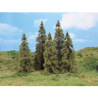 Lärchen 14-18 cm (5 Stk.)