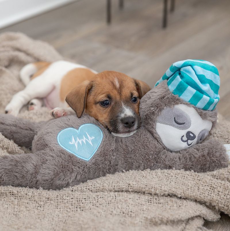 Trixie Junior Hundespielzeug Faultier zu TOP-Preisen | bitiba.de