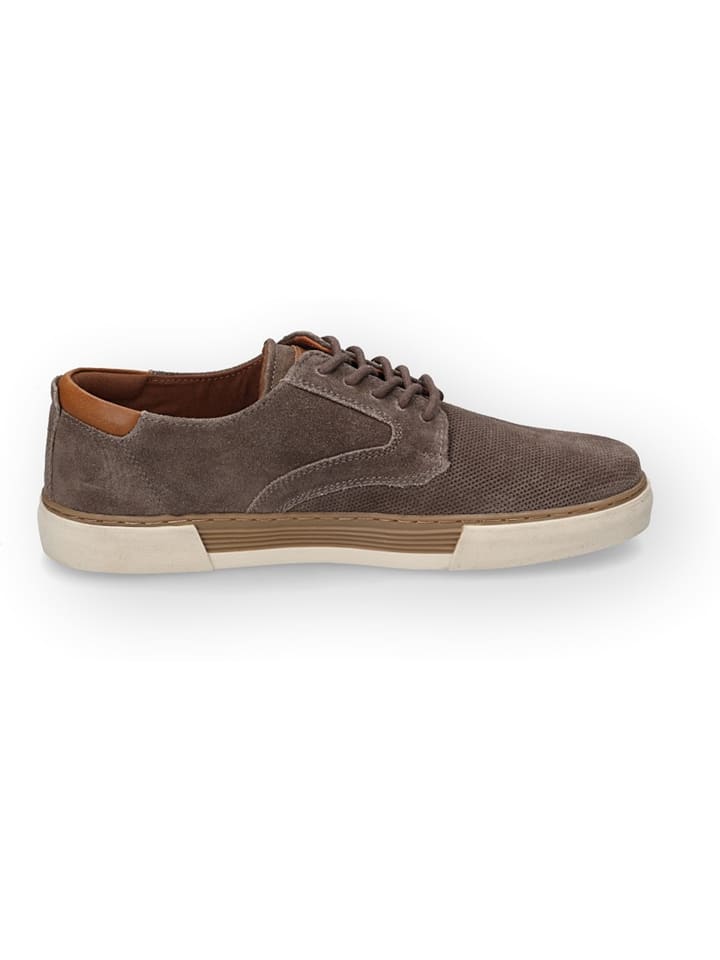 Camel Active Sneakers 