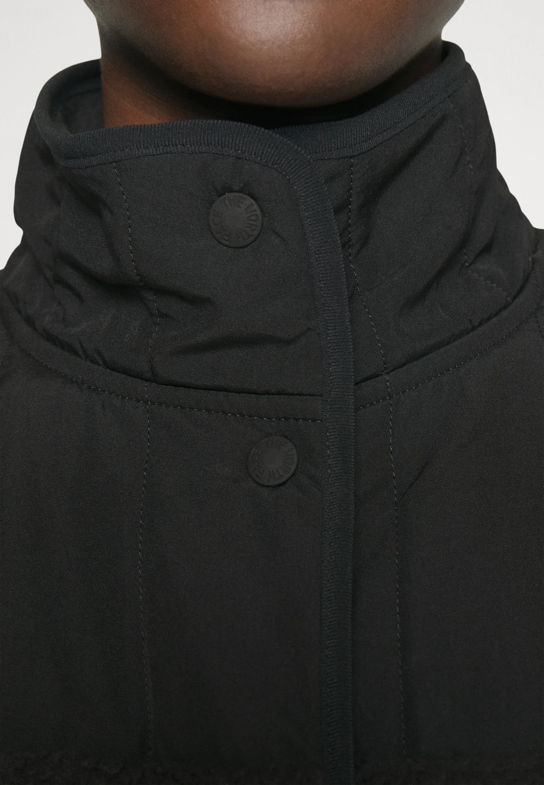 The North Face CRAGMONT JACKET - Chaqueta polar