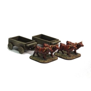 Cart Set