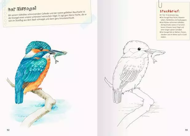 Mein großes Natur-Malbuch