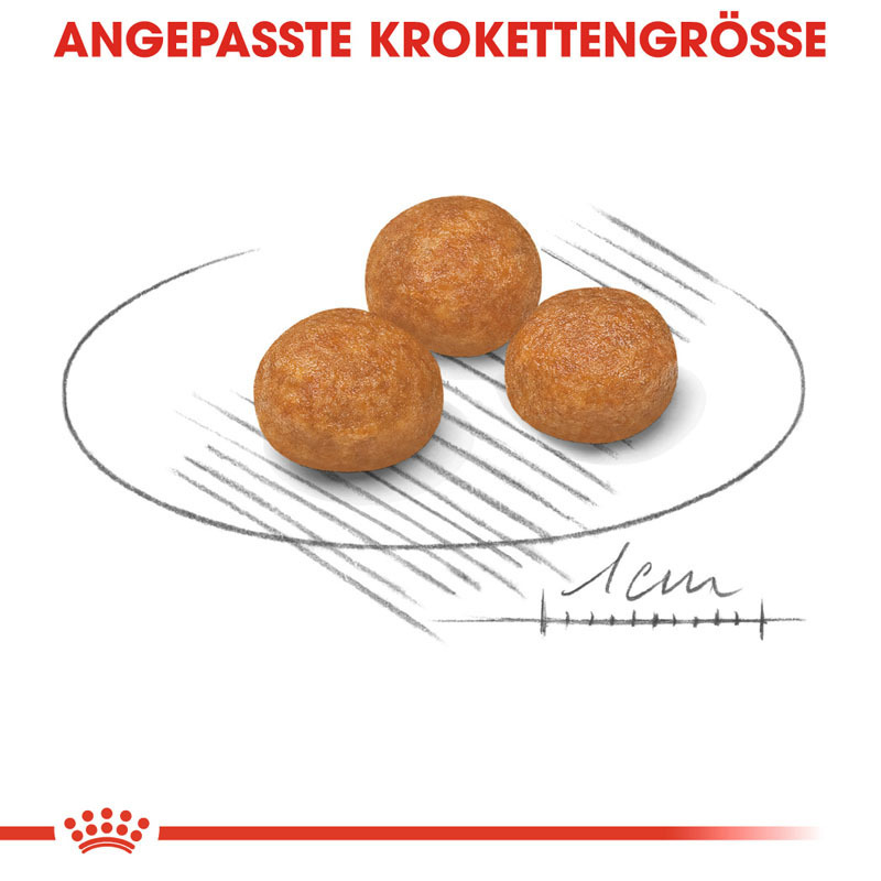 ROYAL CANIN Hundetrockenfutter ROYAL CANIN X-Small Adult 3 kg