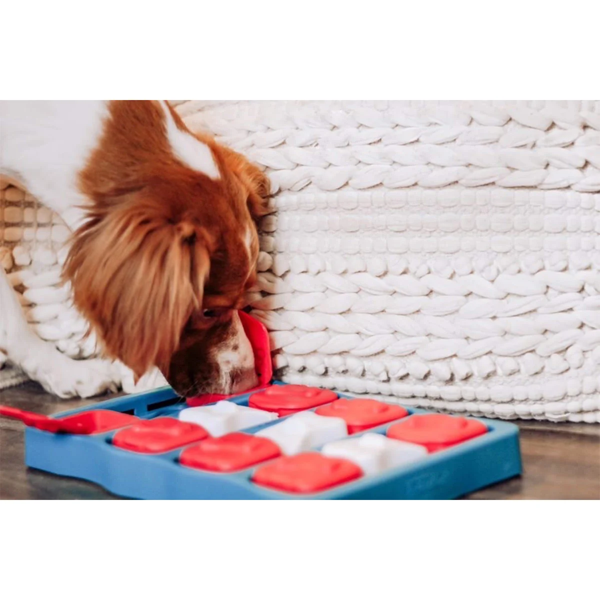 Dog Brick Intelligenzspielzeug günstig kaufen bei ZooRoyal
