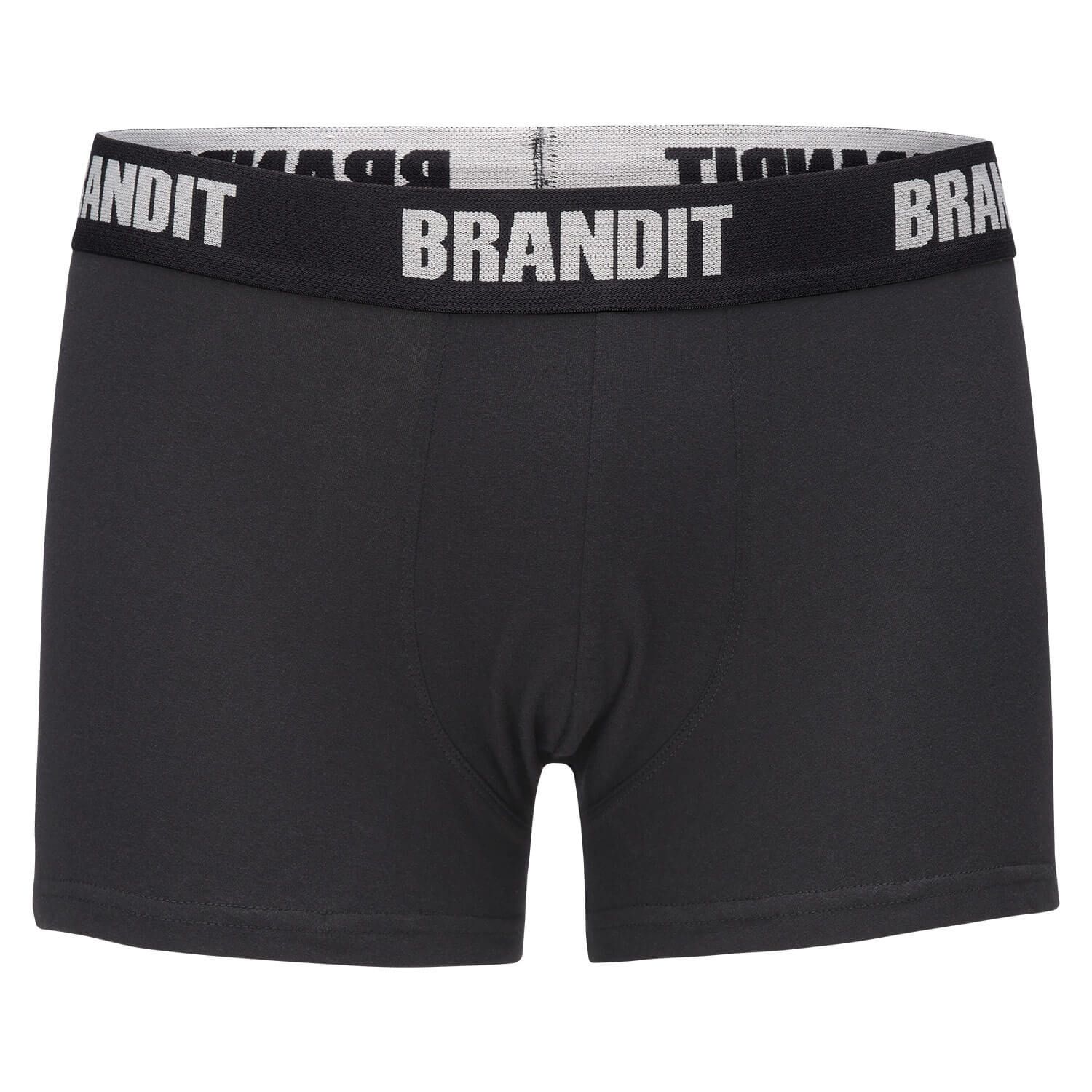 Boxershorts Logo 2er Pack