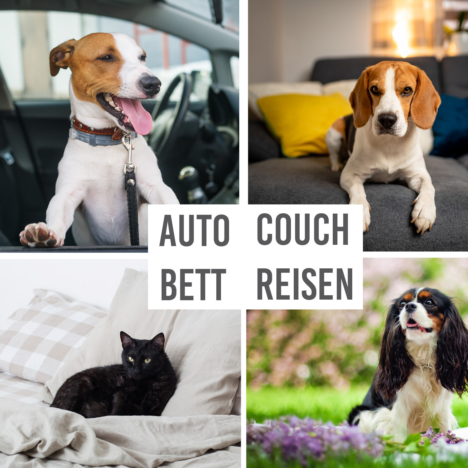 KaraLuna Hundedecken KaraLuna wasserdichte Hundedecke L