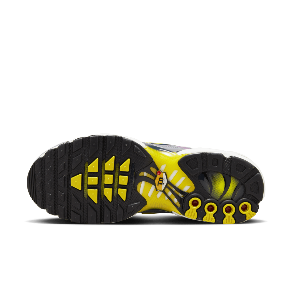 Nike Air Max Plus Violet Dust FN8007-500 / bunt