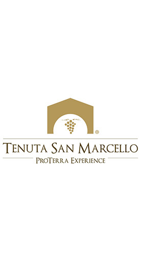 2022 Bastaro Lacrima di Morro d’Alba DOC trocken Bio - Tenuta San Marcello