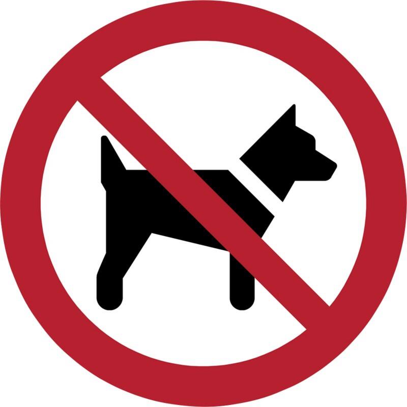 Djois Warnschild Das Mitführen von Hunden ist verboten Klebstoff, einschraubbar PP (Polypropylen) 20 (B) x 0,14 (H) cm 3 Stück