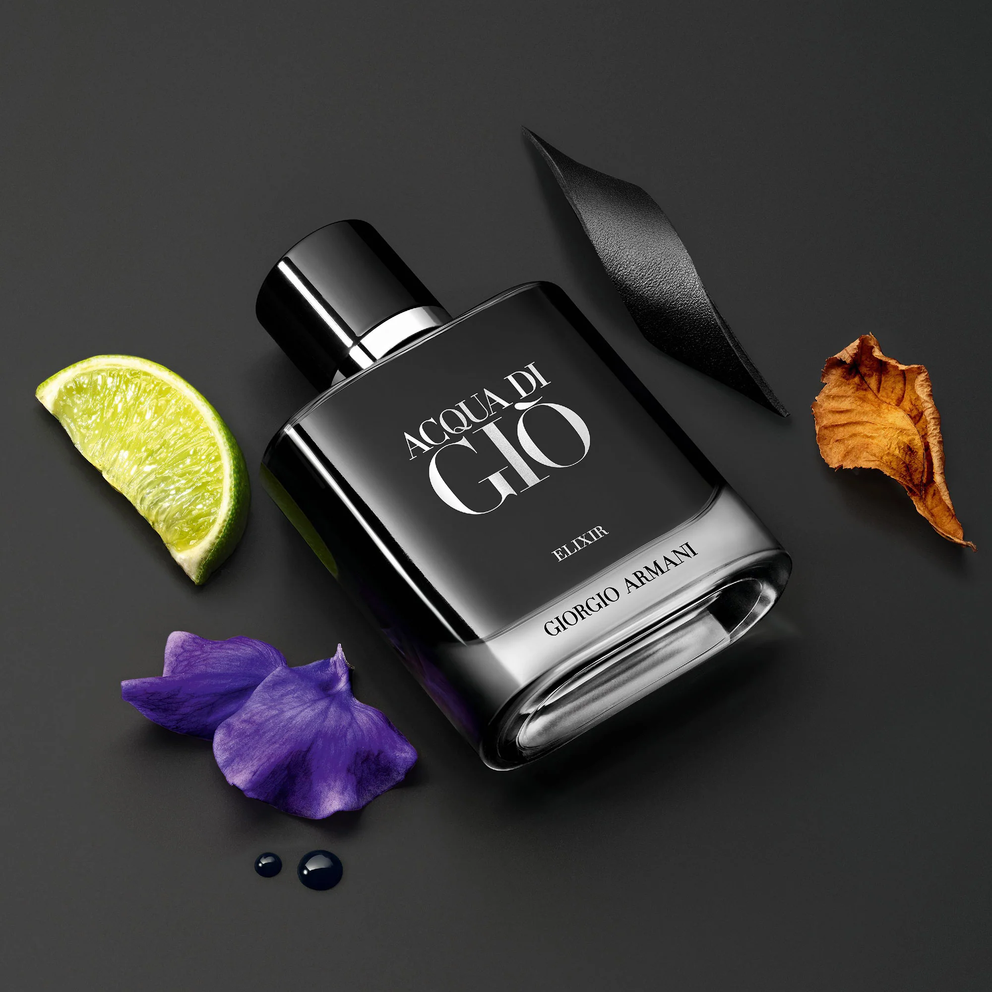 Acqua Di Giò Elixir - Pánsky parfém, Parfum