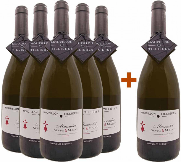 5+1 Paket Mouzillon-Tillières - Muscadet Sèvre et Maine - Les Vignobles Chéneau