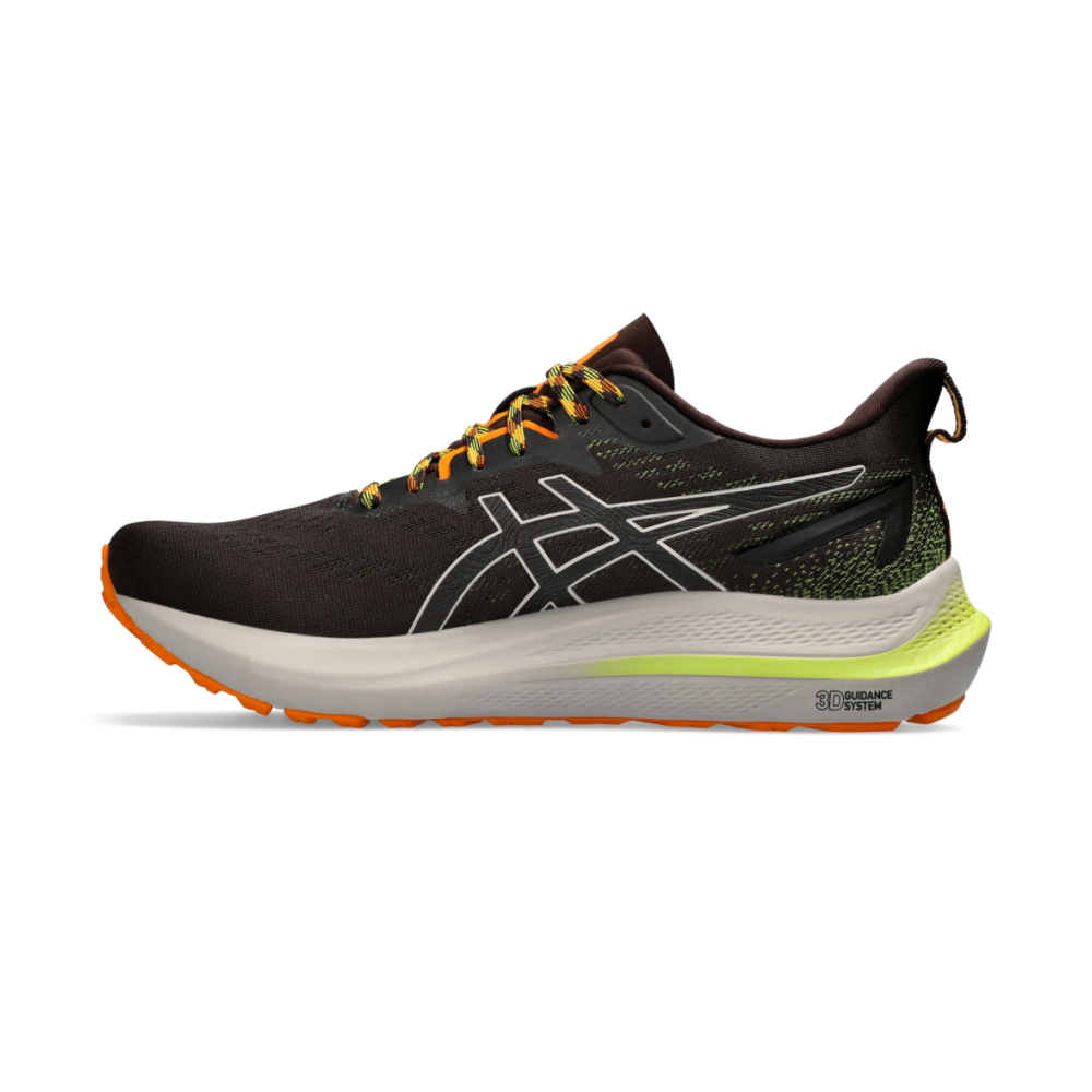 Asics GT 2000 12 TR 1011B775-200 / braun
