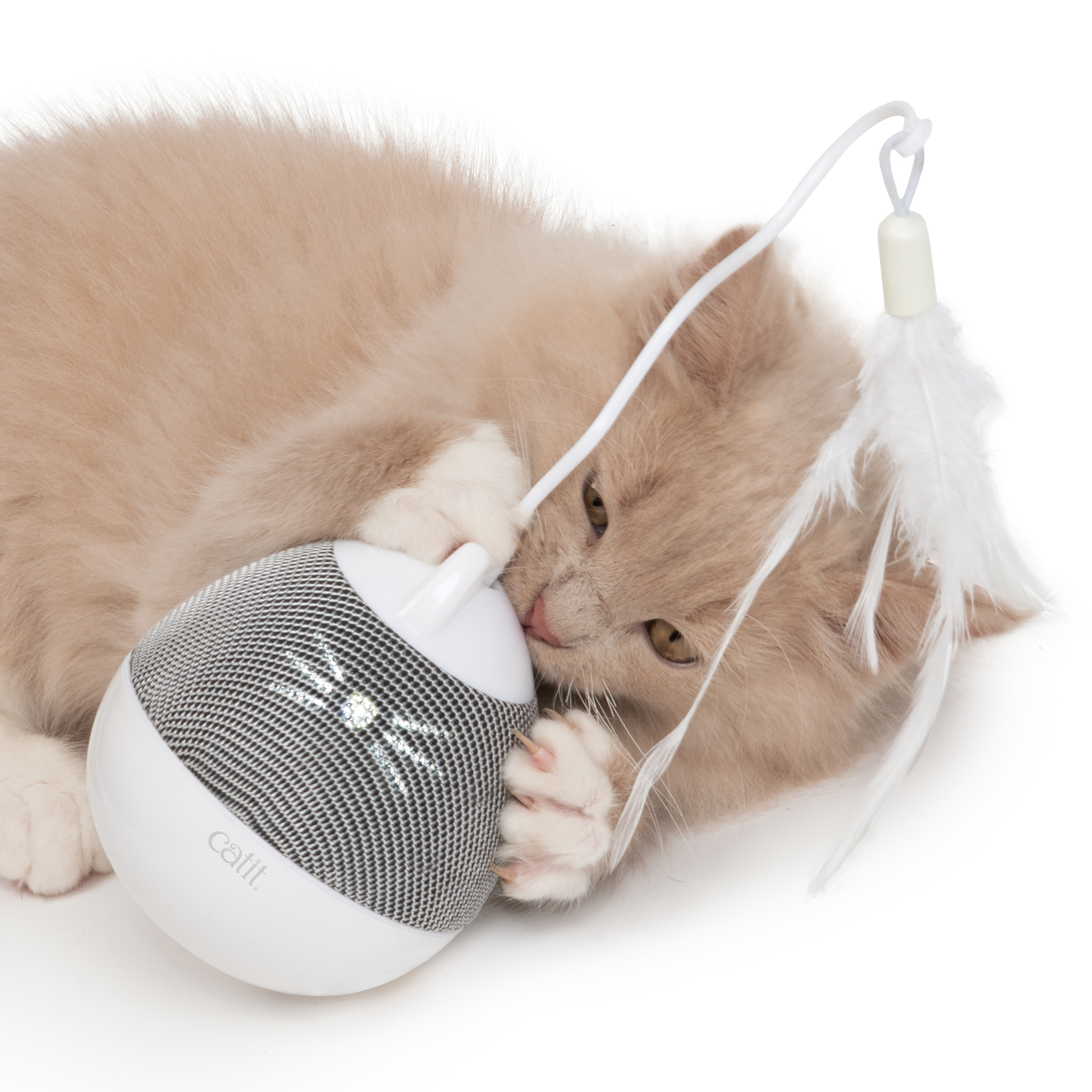 Catit Katzenangeln Catit Pixi Kreisel Pfotenaktiviert